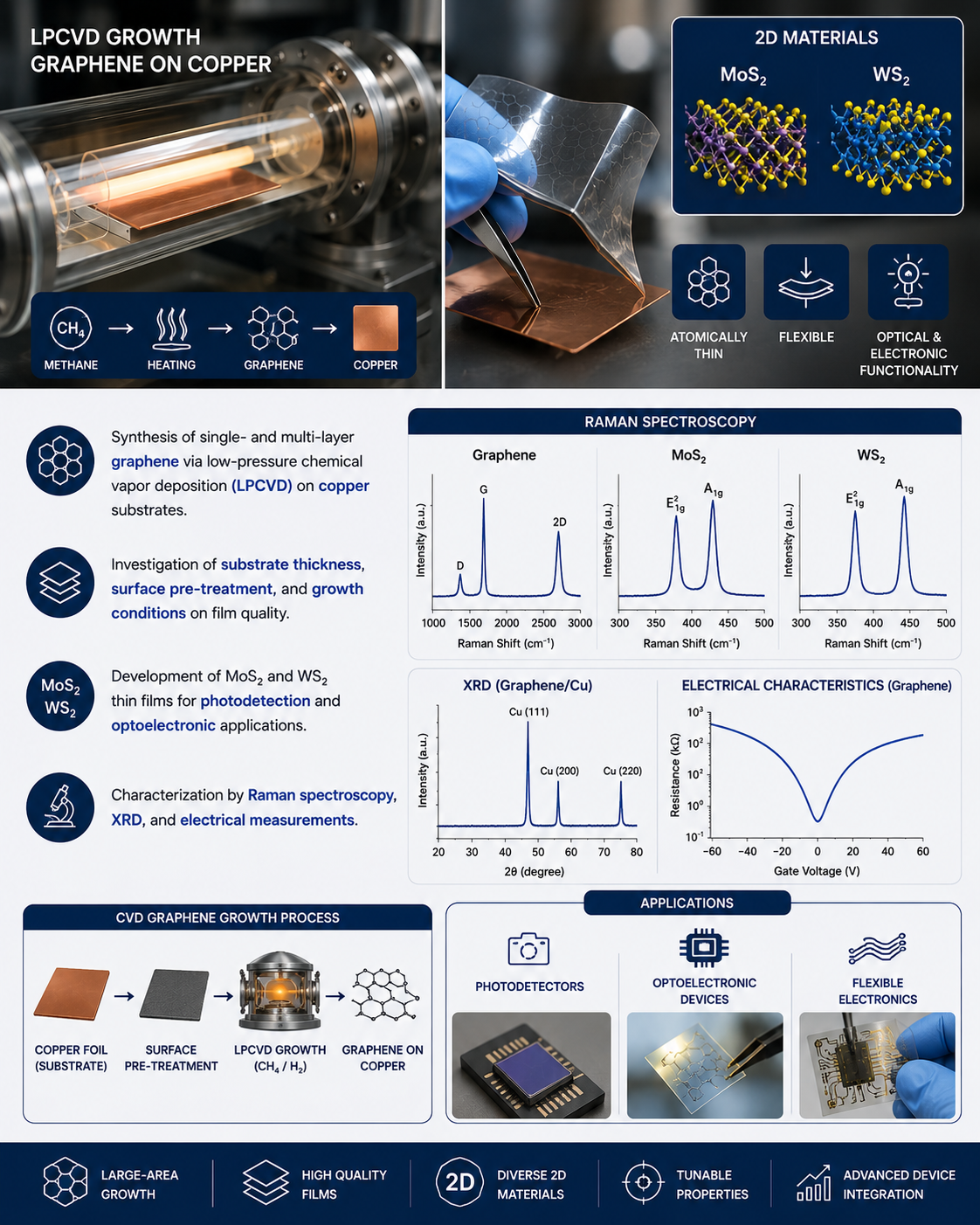 CVD-Grown Graphene & 2D Materials